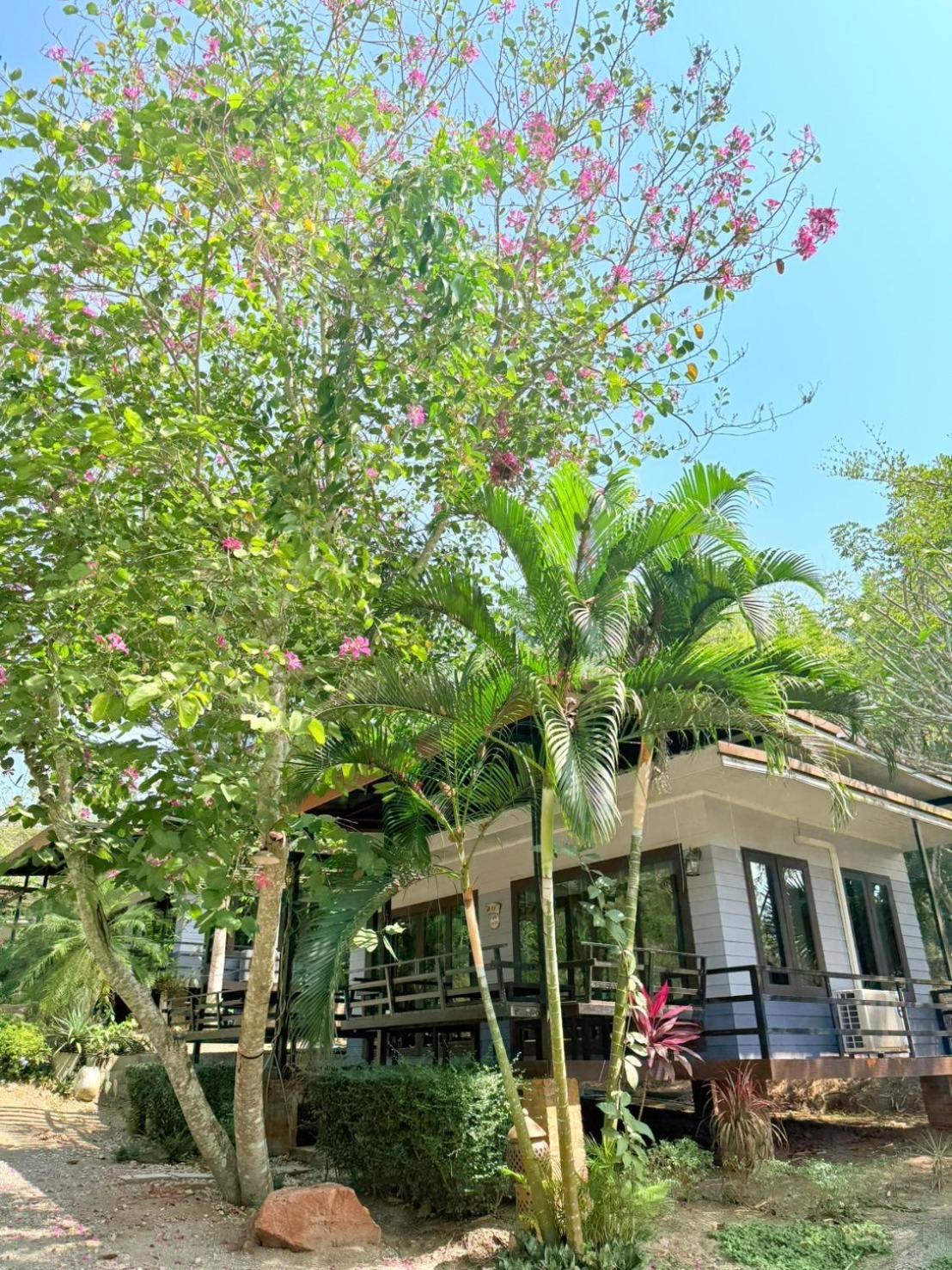 Baan Suan Hill Resort Ban Tha Khun Exterior photo